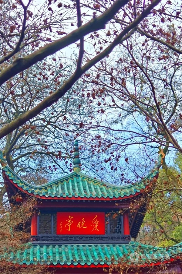 中车电动