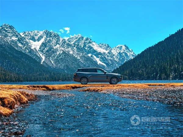 极氪
