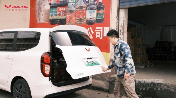 2025年新能源汽车下乡