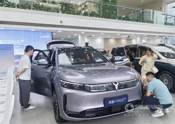 岚图汽车