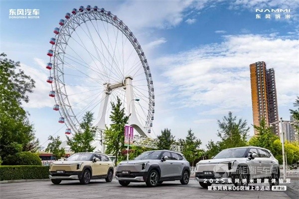 东风纳米06