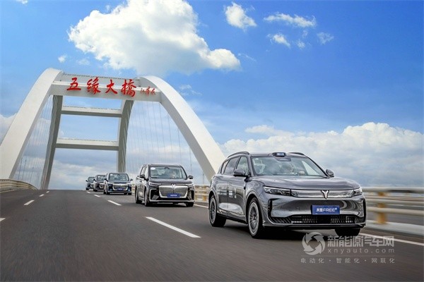 岚图汽车
