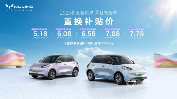 五菱缤果
