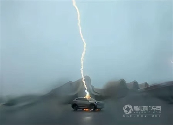 比亚迪