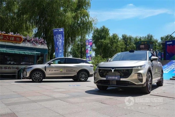 岚图汽车