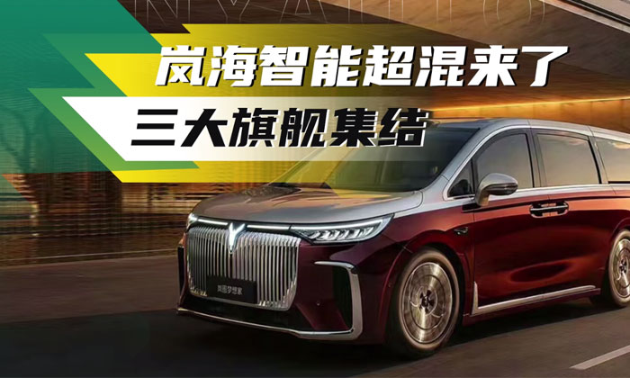 岚海智混来了——岚图汽车