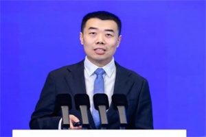 岚图高源：以全球化战略深耕新能源出海，2030 年剑指 60 国市场