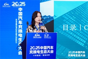 潘林：从“卖设备” 到 “系统输出”!中国“绿色园区+充换电”方案赋能全球低碳基建