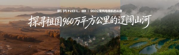 腾势N8L