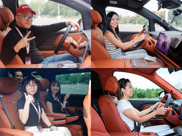 岚图汽车
