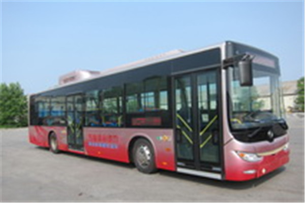 黄海DD6129CHEV8N公交车（NG/电混动国五18-42座）