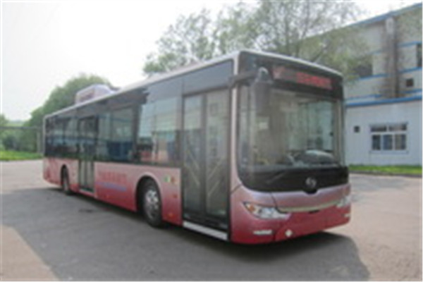 黄海DD6129CHEV6N公交车（LNG/电混动国五18-42座）