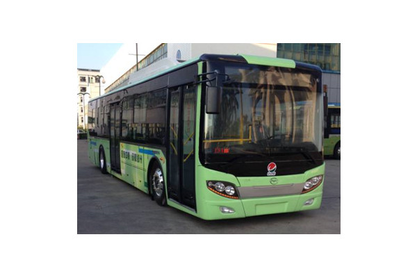五洲龙FDG6121EVG公交车（纯电动10-31座）
