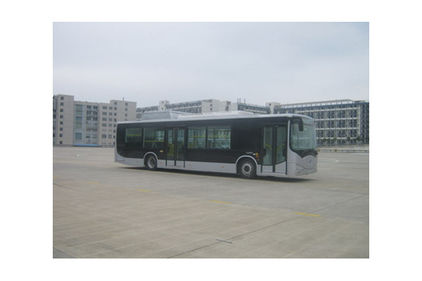 比亚迪CK6120LGEV2公交车（纯电动19-34座）