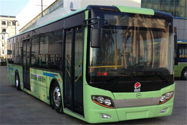 五洲龙FDG6125EVG公交车（纯电动10-31座）