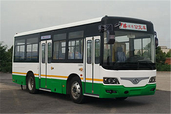 少林SLG6829EVG公交车（纯电动15-31座）