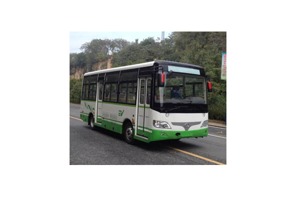 少林SLG6660EVG7公交车（纯电动10-22座）