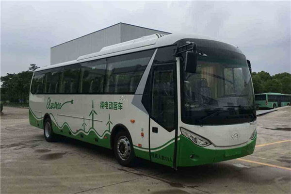 武汉WH6100BEV客车（纯电动24-61座）