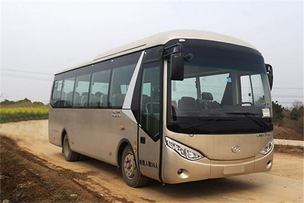武汉WH6801BEV客车（纯电动24-38座）