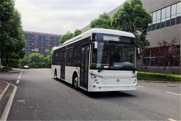 中兴GTZ6109BEVB1公交车（纯电动25-39座）