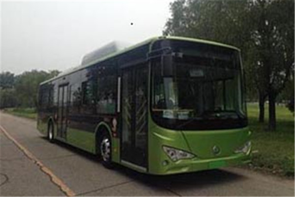 天津比亚迪TJK6124BEV公交车（纯电动28-42座）