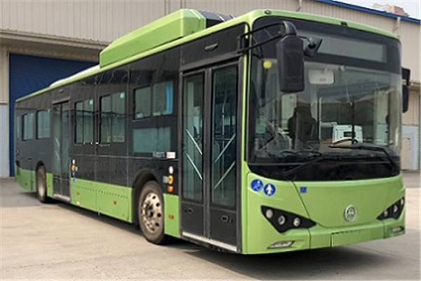 天津比亚迪TJK6120GCLEV低入口公交车（纯电动23-45座）