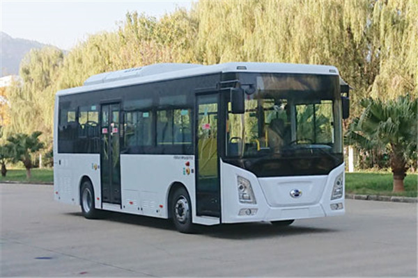 五龙FDE6851PBABEV02公交车（纯电动13-28座）